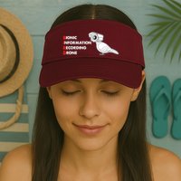 BIRD Bionic Information Recording Drone Visor