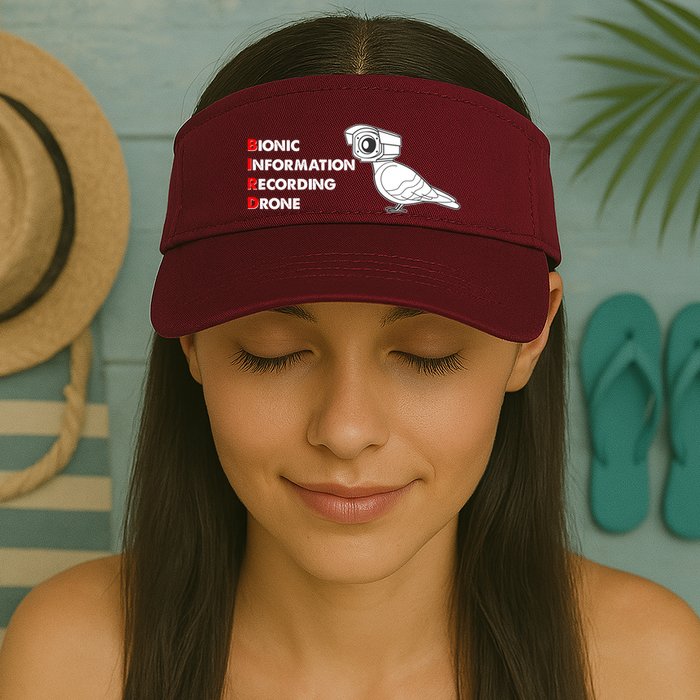 BIRD Bionic Information Recording Drone Visor