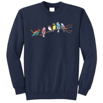 Birdwatching Birds It's Okay If You Don't Like Bird Sweatshirt