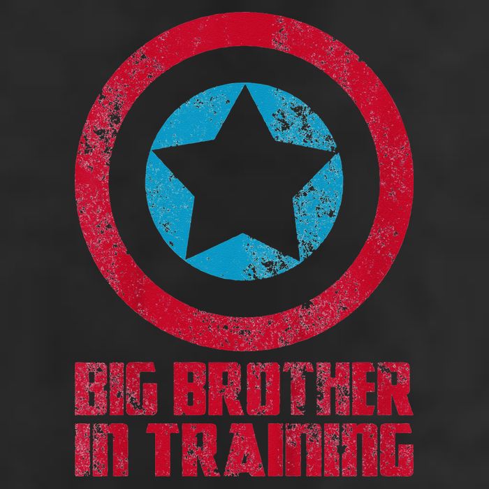 Big Brother In Training Big Bro Superhero 7 Panel Mesh Trucker Snapback Hat