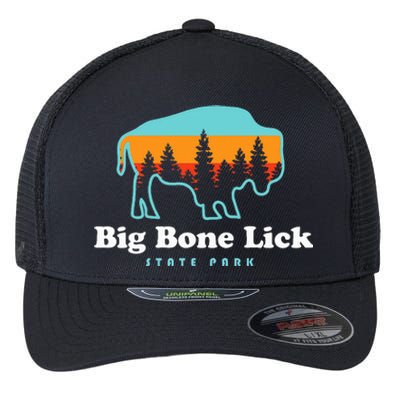 Big Bone Lick State Park Kentucky Bison Fossils Flexfit Unipanel Trucker Cap