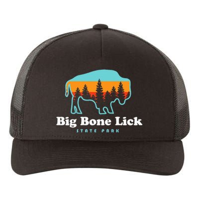 Big Bone Lick State Park Kentucky Bison Fossils Yupoong Adult 5-Panel Trucker Hat