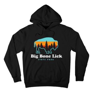 Big Bone Lick State Park Kentucky Bison Fossils Hoodie