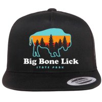 Big Bone Lick State Park Kentucky Bison Fossils Flat Bill Trucker Hat