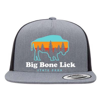 Big Bone Lick State Park Kentucky Bison Fossils Flat Bill Trucker Hat