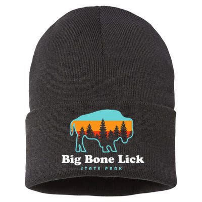 Big Bone Lick State Park Kentucky Bison Fossils Sustainable Knit Beanie