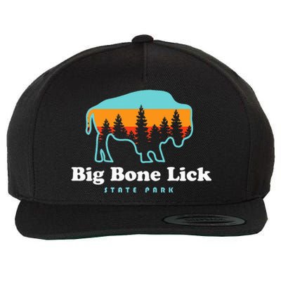 Big Bone Lick State Park Kentucky Bison Fossils Wool Snapback Cap