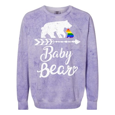 Baby Bear Lgbt Lgbtq Rainbow Pride Gay Lesbian Colorblast Crewneck Sweatshirt