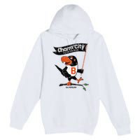 Baltimore Birds Maryland Charm City Pride Novelty Premium Pullover Hoodie