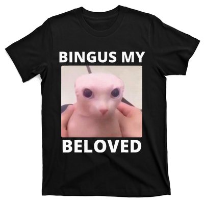 Bald Bingus My Beloved Hairless Sphinx Cat T-Shirt