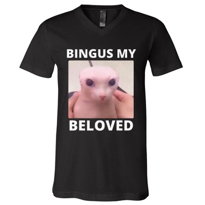 Bald Bingus My Beloved Hairless Sphinx Cat V-Neck T-Shirt