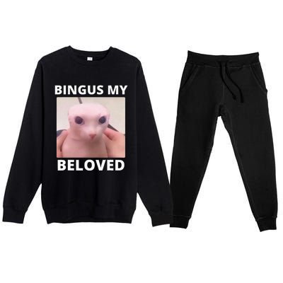 Bald Bingus My Beloved Hairless Sphinx Cat Premium Crewneck Sweatsuit Set