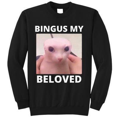 Bald Bingus My Beloved Hairless Sphinx Cat Tall Sweatshirt