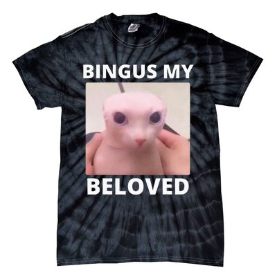 Bald Bingus My Beloved Hairless Sphinx Cat Tie-Dye T-Shirt