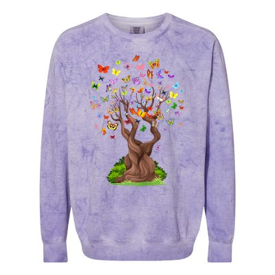 Butterflytree Beautiful Nature Lover Butterfly Colorblast Crewneck Sweatshirt