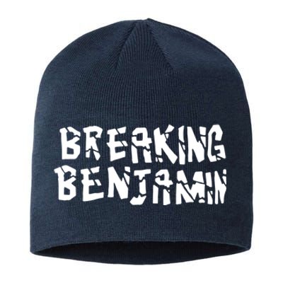 Breaking Benjamin New Sustainable Beanie