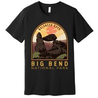 Big Bend National Park Balanced Rock Vintage Emblem Premium T-Shirt