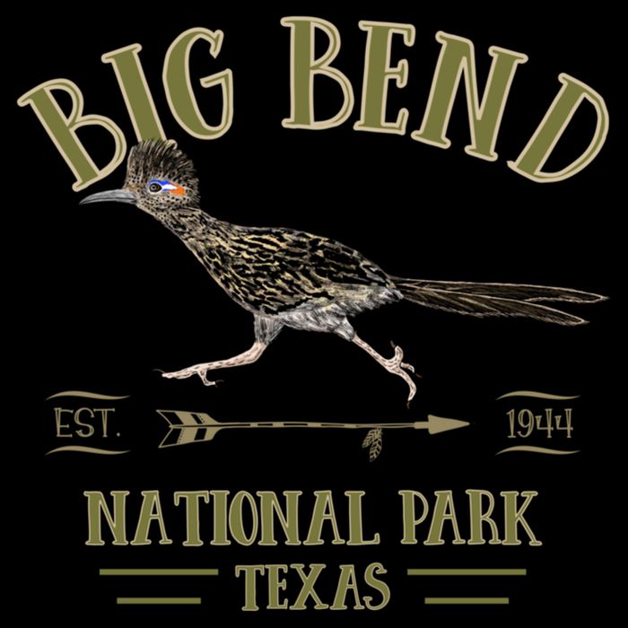 Big Bend National Park Roadrunner Np Texas Tourist Souvenir 16 in Basic Backpack