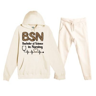 Bsn Bachelor Of Science In Nursing Student Graduation Gift Premium Hooded Sweatsuit Set