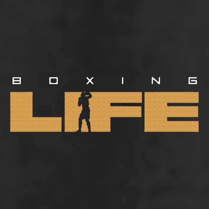 Boxing Adult Drive Performance Visor