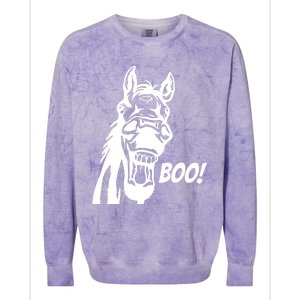 Boo! Colorblast Crewneck Sweatshirt