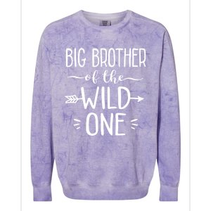 Big Brother Of The Wild One Funny 1st Birthday Safari Gift Colorblast Crewneck Sweatshirt