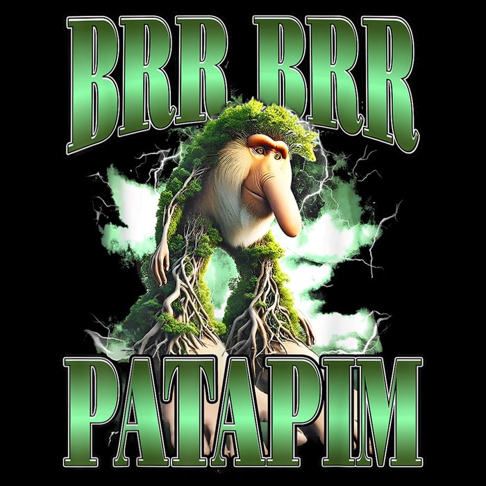Brr Brr Patapim Italian Brainrot Meme Cropped Pullover Crew