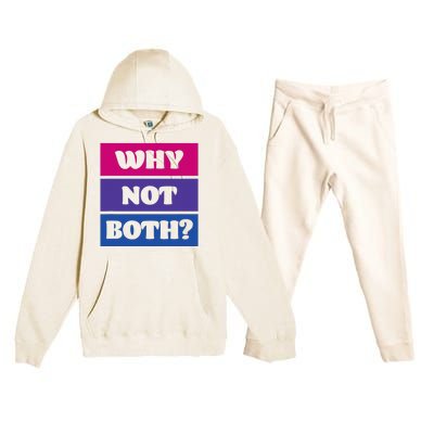 Bisexual Bi Pride Flag Why Not Both Lgbtq Premium Hooded Sweatsuit Set