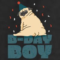 Birthday Boy Pug 7 Panel Mesh Trucker Snapback Hat