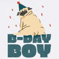 Birthday Boy Pug Adult Drive Performance Visor