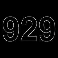 Bronx Brooklyn Queens New York City Area Code 929 Tall Sweatshirt