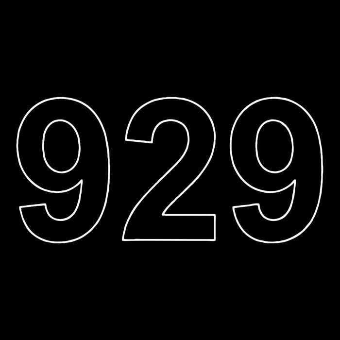 Bronx Brooklyn Queens New York City Area Code 929 Tall Sweatshirt