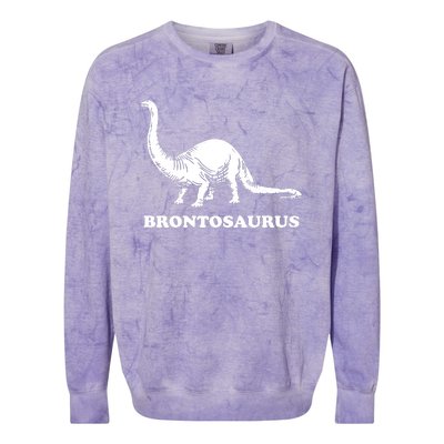 Brontosaurus Colorblast Crewneck Sweatshirt