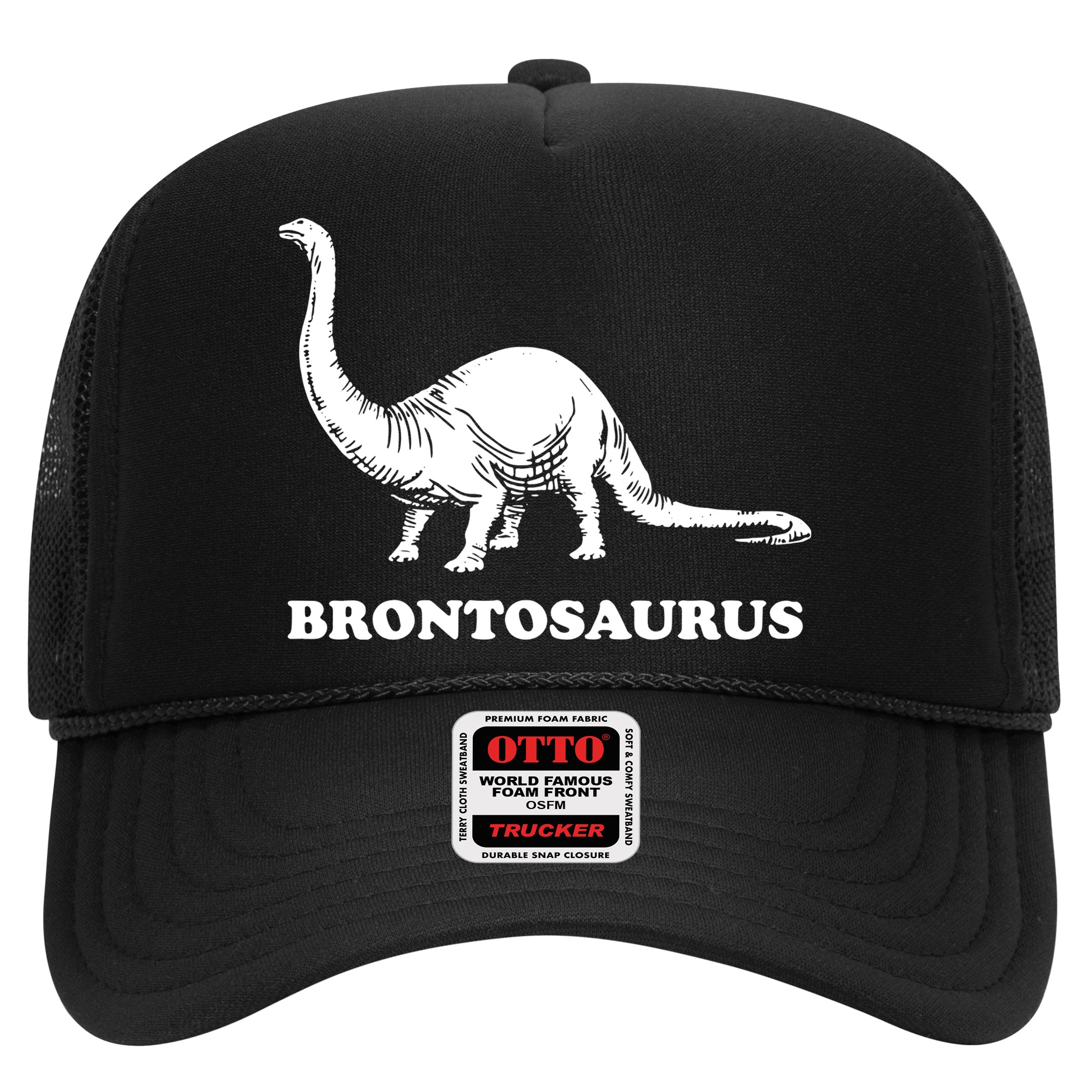 Brontosaurus Hat