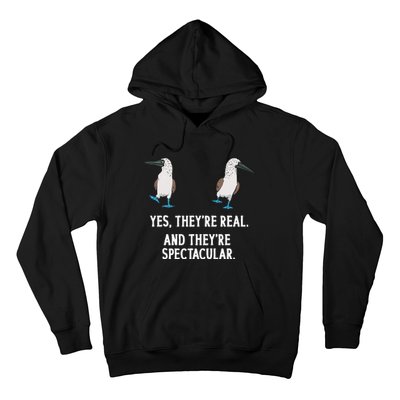 Bluefooted Booby Seabird Boobies Hoodie