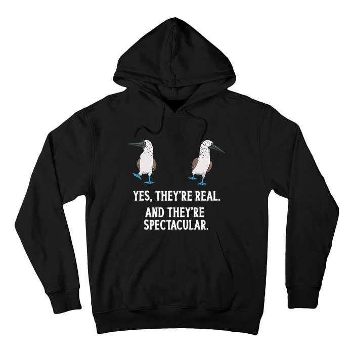 Bluefooted Booby Seabird Boobies Hoodie