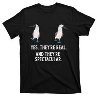 Bluefooted Booby Seabird Boobies T-Shirt