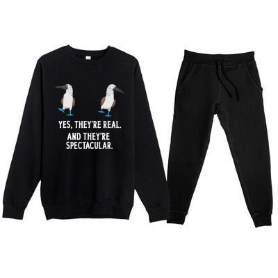 Bluefooted Booby Seabird Boobies Premium Crewneck Sweatsuit Set