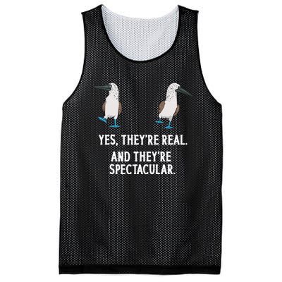 Bluefooted Booby Seabird Boobies Mesh Reversible Basketball Jersey Tank