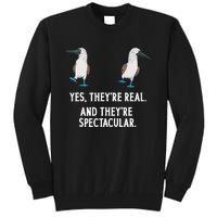 Bluefooted Booby Seabird Boobies Tall Sweatshirt