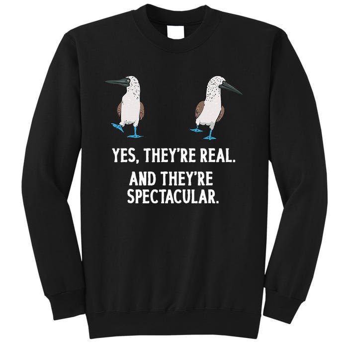 Bluefooted Booby Seabird Boobies Tall Sweatshirt