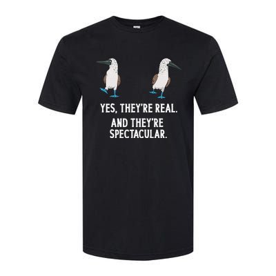 Bluefooted Booby Seabird Boobies Softstyle CVC T-Shirt