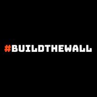 #Buildthewall Build The Wall Funny Trump 16 in Basic Backpack