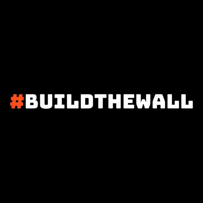 #Buildthewall Build The Wall Funny Trump 16 in Basic Backpack