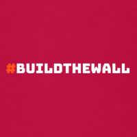 #Buildthewall Build The Wall Funny Trump Adult Drive Performance Visor