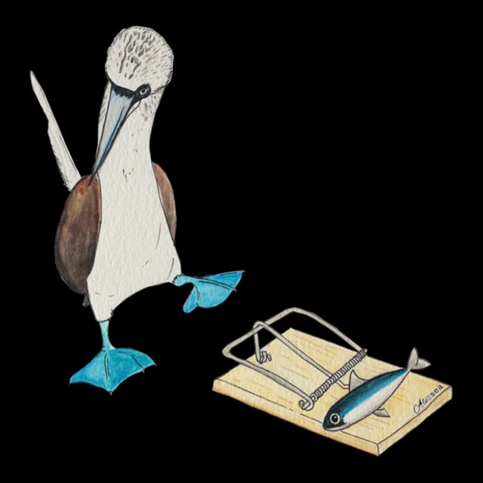 Bluefooted Booby Trap Youth Performance Sprint T-Shirt