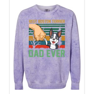 Best Boston Terrier Dad Ever Colorblast Crewneck Sweatshirt