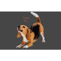 Beagle Beagles Tee Love Is Dog Mom Dad Puppy Pet Cute Bumper Sticker