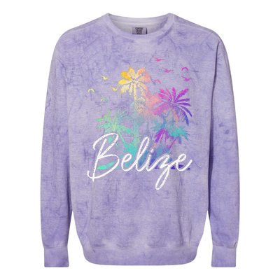 Belize Beach Vintage Palm Trees Vacation Colorblast Crewneck Sweatshirt