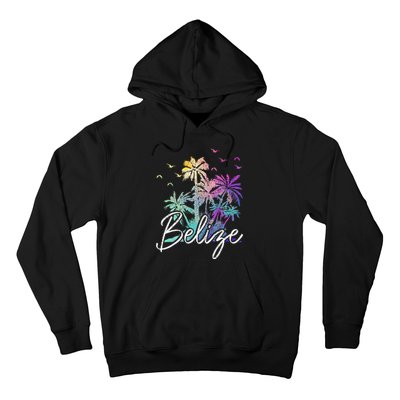 Belize Beach Vintage Palm Trees Vacation Hoodie